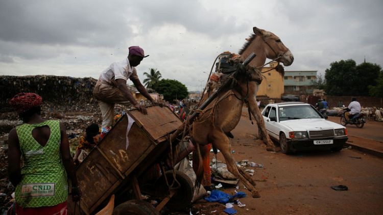 In Mali's capital, donkeys are on front line of fight against waste