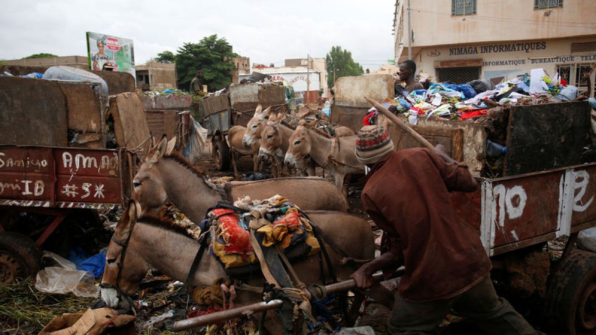 في مالي .. الحمير لمحاربة القمامة والحفاظ على نظافة باماكو
