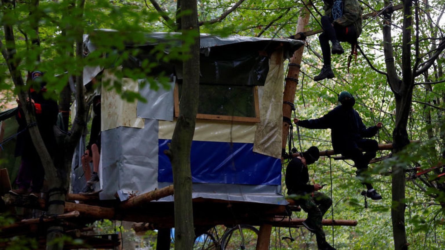German police clear protestors from ancient forest marked for mining