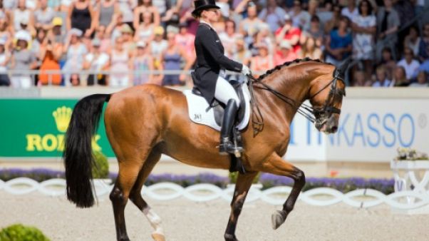 JEM 2018: l'Allemagne et Werth en dressage agrandissent leurs collections JEM 2018: l'Allemagne et Werth en dressage agrandissent leurs collections