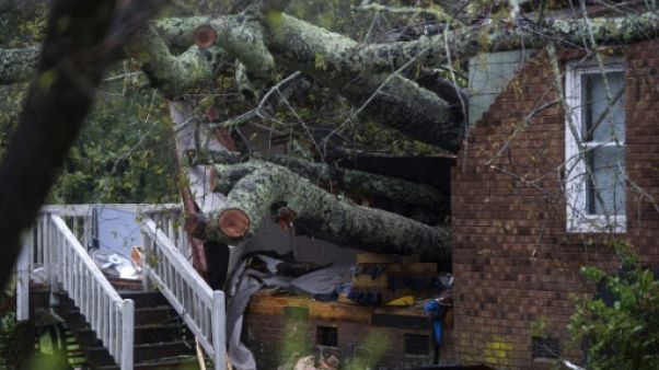 Un "gros bruit", et un arbre abattu par l'ouragan tue une mère et son bébé Un "gros bruit", et un arbre abattu par l'ouragan tue une mère et son bébé