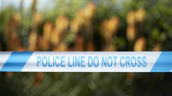 Incident à Salisbury: "rien" ne suggère l'usage de Novitchok Incident à Salisbury: "rien" ne suggère l'usage de Novitchok
