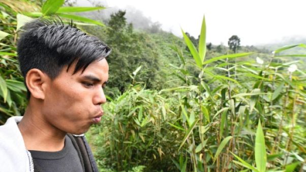 Kongthong, le village d'Inde où les noms deviennent musique Kongthong, le village d'Inde où les noms deviennent musique