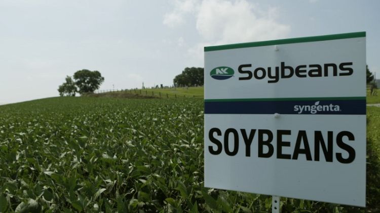 U.S. soybean lobby will push for Washington to end trade war