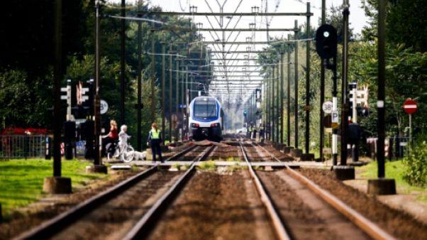 "Cauchemar" aux Pays-Bas: quatre enfants tués dans une collision avec un train "Cauchemar" aux Pays-Bas: quatre enfants tués dans une collision avec un train