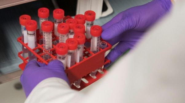 Cancers, diabètes, AVC: la bataille contre les maladies non transmissibles n'est pas gagnée Cancers, diabètes, AVC: la bataille contre les maladies non transmissibles n'est pas gagnée