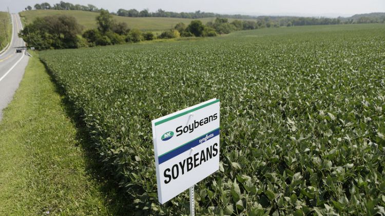Crop chop - China shuns U.S. soybeans amid trade war, turns to Brazil