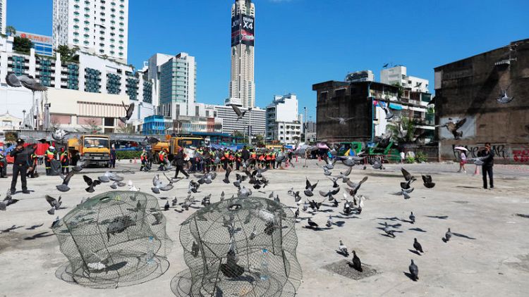 Jail birds - Thailand considers prison for feeding pigeons