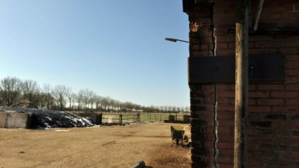 Pays-Bas: les dégâts de séismes mettent de l'eau dans le gaz Pays-Bas: les dégâts de séismes mettent de l'eau dans le gaz