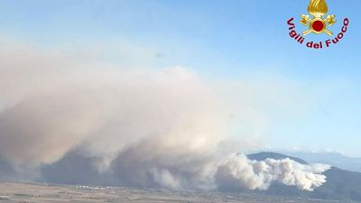 Incendi nel Pisano, 1000 ettari in fumo