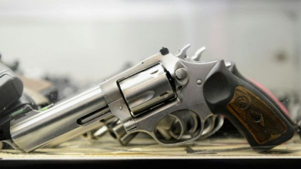 Pays-Bas: le gouvernement veut connaître la religion des propriétaires d'armes à feu Pays-Bas: le gouvernement veut connaître la religion des propriétaires d'armes à feu