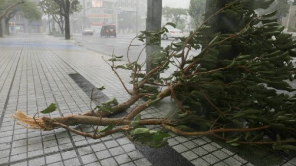 Un puissant typhon atteint le Japon, des blessés Un puissant typhon atteint le Japon, des blessés
