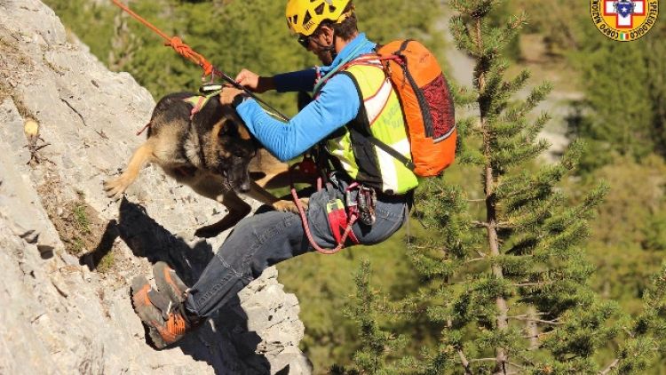 Soccorso Alpino, brevetto unità cinofile