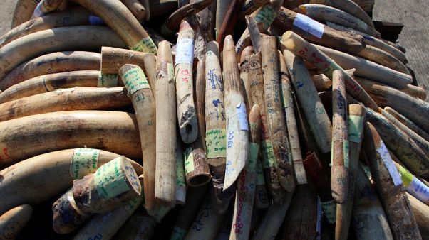 Myanmar torches illegal wildlife stockpile worth $1.3 million to deter smugglers Myanmar torches illegal wildlife stockpile worth $1.3 million to deter smugglers