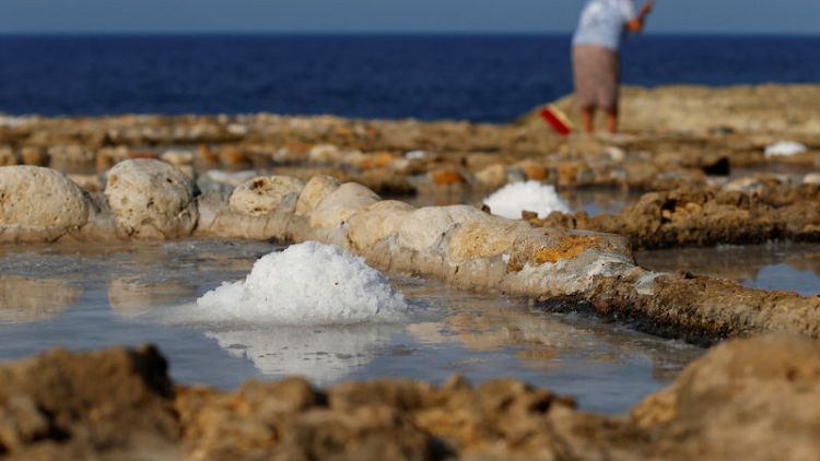 Maltese family keeps ancient salt-harvesting tradition alive