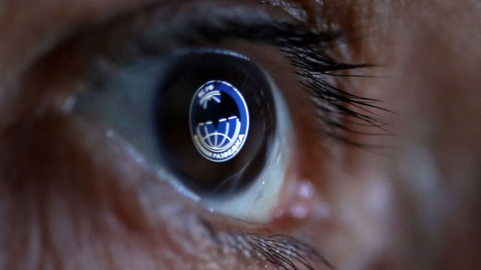 Factbox - What is Russia's GRU military intelligence agency?