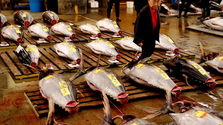 سوق أسماك تسوكيجي اليابانية الشهيرة تقيم آخر مزاد قبل نقلها