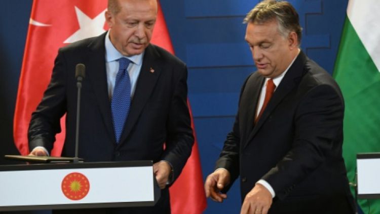 Erdogan en Hongrie, entre politique et histoire