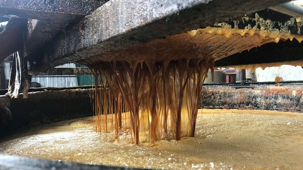 Fat profits - Asian traders cash in as Europe thirsts for waste oils Fat profits - Asian traders cash in as Europe thirsts for waste oils