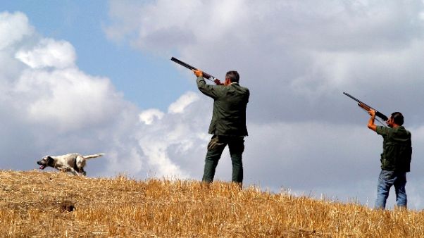 Cade e parte un colpo, cacciatore ferito Cade e parte un colpo, cacciatore ferito