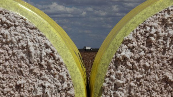 Trump trade war delivers farm boom in Brazil, gloom in Iowa Trump trade war delivers farm boom in Brazil, gloom in Iowa
