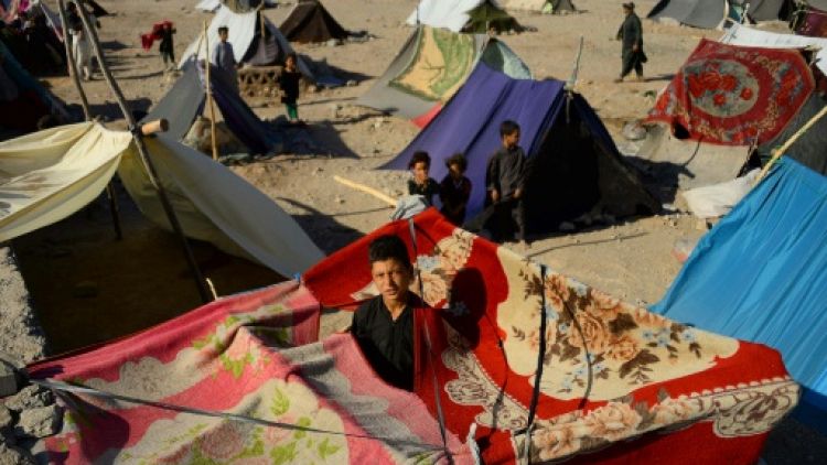 Chassés par la sécheresse, des paysans afghans subissent la misère des camps de déplacés