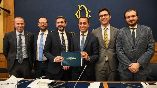 Patuanelli,in primavera reddito-pensioni Patuanelli,in primavera reddito-pensioni