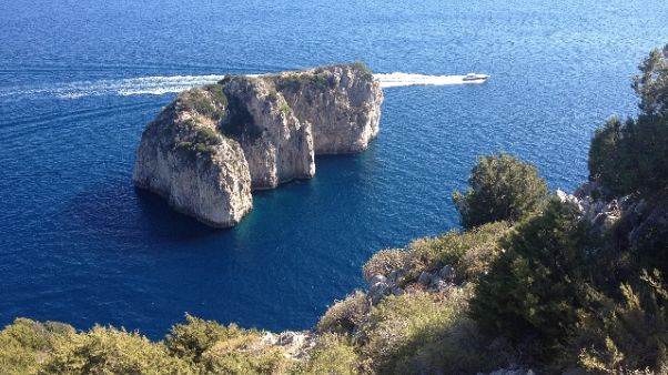 Disperso in mare, ricerche a Capri Disperso in mare, ricerche a Capri