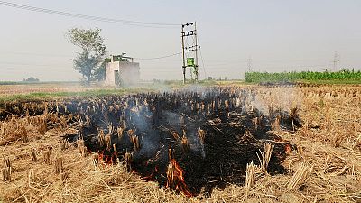 The burning truth: as farmers set fire to fields, Delhi braces for choking smog The burning truth: as farmers set fire to fields, Delhi braces for choking smog