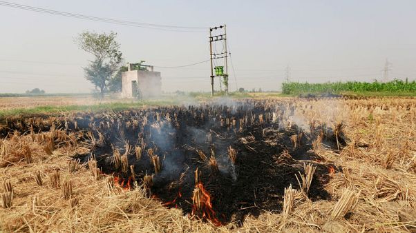 The burning truth: as farmers set fire to fields, Delhi braces for choking smog The burning truth: as farmers set fire to fields, Delhi braces for choking smog