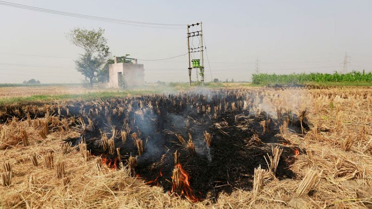 The burning truth: as farmers set fire to fields, Delhi braces for choking smog
