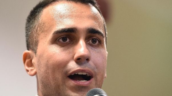 Fonti M5s, pace fiscale? Non per evasori Fonti M5s, pace fiscale? Non per evasori
