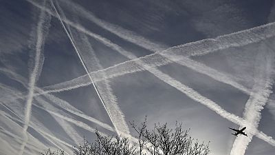 Britain looking at four options for carbon pricing after Brexit – govt official Britain looking at four options for carbon pricing after Brexit – govt official