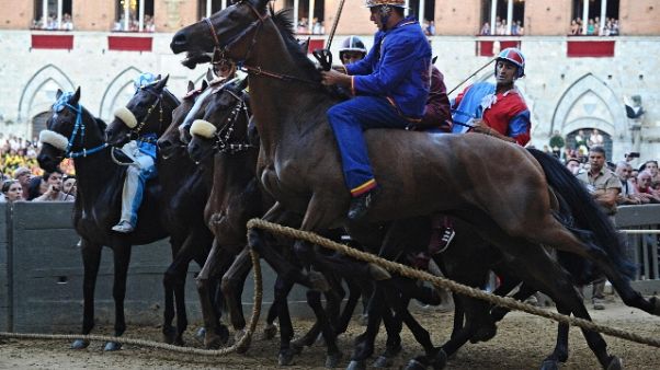 Palio Siena: Oca vince seconda prova Palio Siena: Oca vince seconda prova