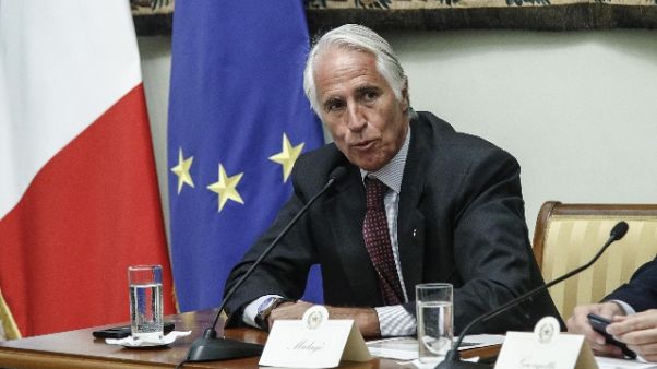 Euro 28, Malagò 'occasione rinnovo stadi Euro 28, Malagò 'occasione rinnovo stadi