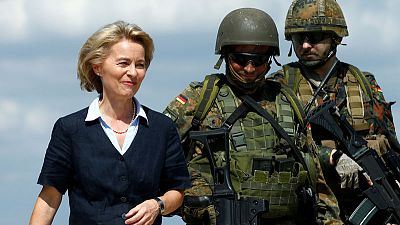 German defence ministry orders reforms, inquiry into use of consultants