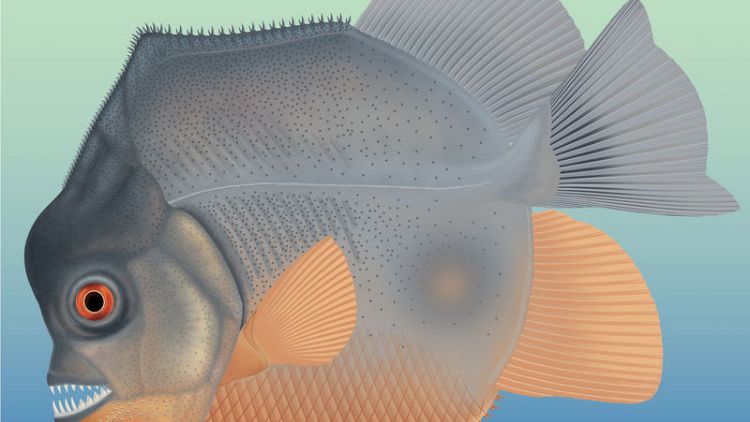 In toothy prequel, piranha-like fish menaced Jurassic seas