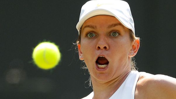 Halep remains upbeat after 'best' season despite injury Halep remains upbeat after 'best' season despite injury