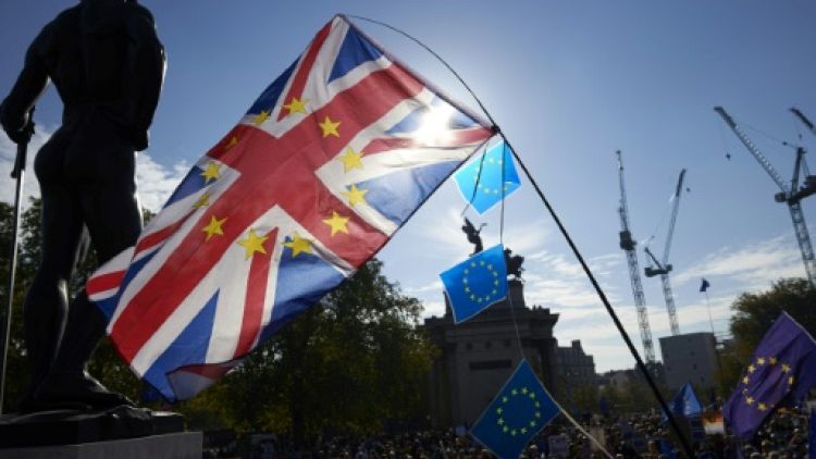 Brexit: mobilisation massive à Londres pour réclamer un second référendum 