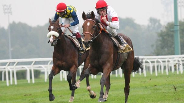 Ippica, a Tusk il gp del Jockey Club Ippica, a Tusk il gp del Jockey Club