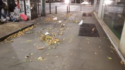 Tromba d'aria a Milano, alberi caduti