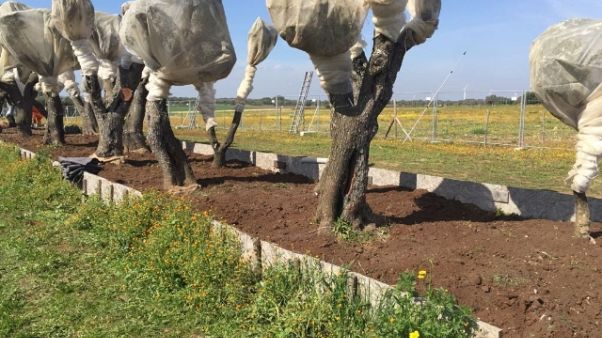 Tap,resta sequestro di porzione cantiere Tap,resta sequestro di porzione cantiere