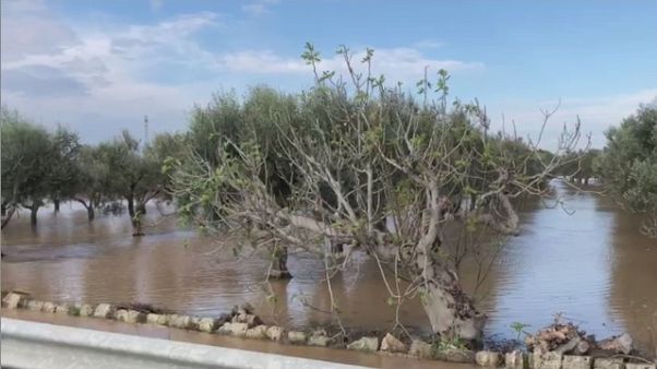 Maltempo,in Salento acqua alta 1,5 metri Maltempo,in Salento acqua alta 1,5 metri
