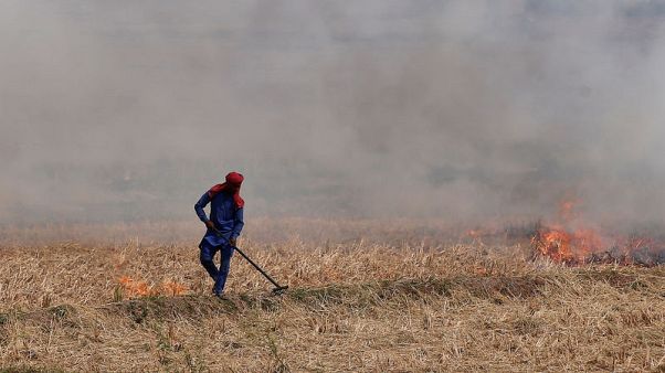 India's capital braces for 'deadly cocktail' of pollution as air quality slides India's capital braces for 'deadly cocktail' of pollution as air quality slides