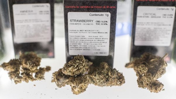 Cannabis light a domicilio, boom over 50 Cannabis light a domicilio, boom over 50