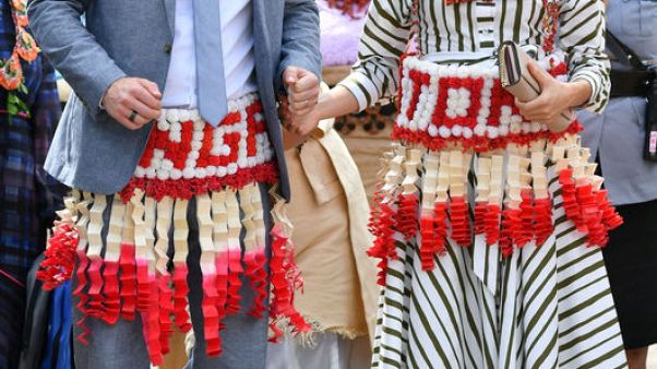طائرة الأمير هاري تهبط بسلام في سيدني بعد إعادة محاولة الهبوط طائرة الأمير هاري تهبط بسلام في سيدني بعد إعادة محاولة الهبوط