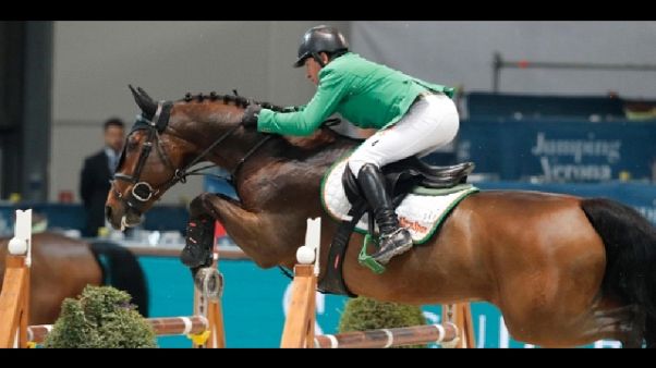Equitazione:subito Italia jumping Verona Equitazione:subito Italia jumping Verona