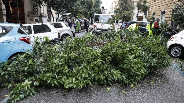 Maltempo: domani a Roma scuole chiuse Maltempo: domani a Roma scuole chiuse