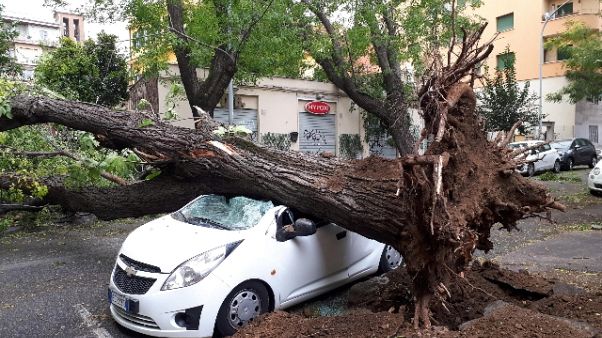 Maltempo: 2 morti in provincia Frosinone Maltempo: 2 morti in provincia Frosinone