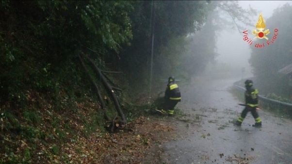 Maltempo, albero uccide vigile del fuoco Maltempo, albero uccide vigile del fuoco